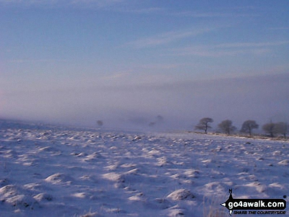 Walk ch266 The Macclesfield Canal and Lyme Park from Higher Poynton - Lyme Park in Winter