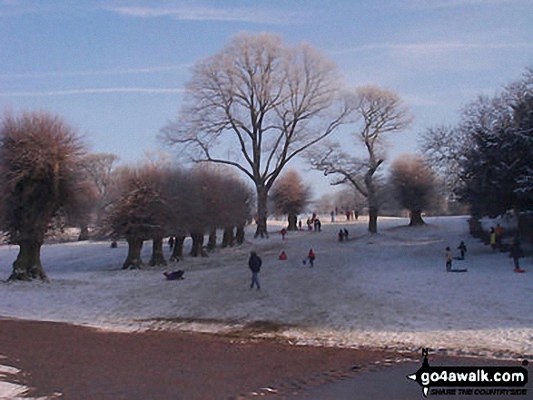 Walk ch207 Sponds Hill and Lyme Park from Higher Poynton - Lyme Park in Winter