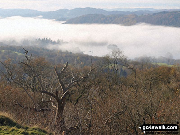 Walk c104 Orrest Head and Troutbeck from Windermere - Windermere under a blanket of mist from Orrest Head