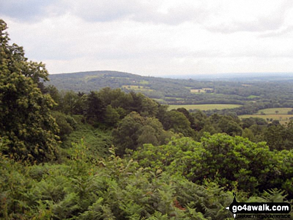 Walk su120 Holmbury Hill, Pitch Hill and Ewhurst from Holmbury St Mary - Leith Hill and the North Downs from the top of Holmbury Hill