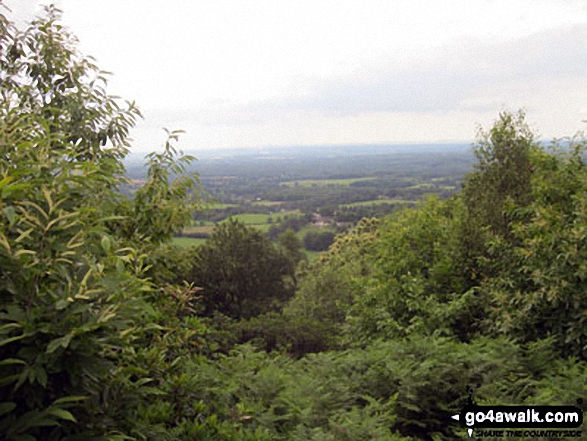 Looking South from the top of Holmbury Hill