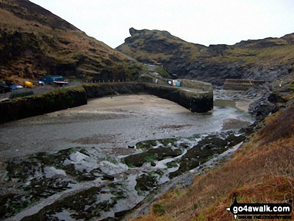 Walk co103 Fire Beacon Point from Boscastle - Boscastle Harbour at low tide