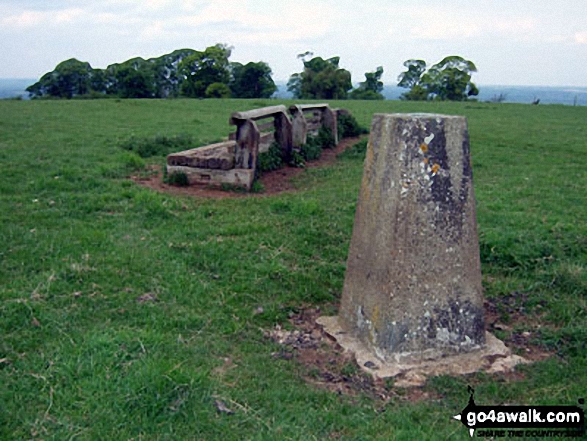 Muswell Hill summit trig point 