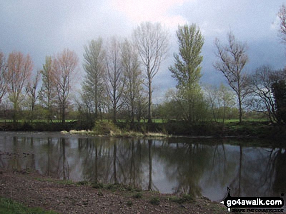 Walk mo113 The River Usk and Coed y Bwnydd from Clytha - The River Usk