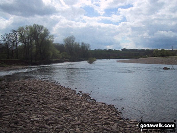 Walk mo113 The River Usk and Coed y Bwnydd from Clytha - The River Usk