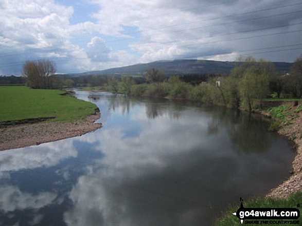 Walk mo122 The River Usk from Clytha - Mynydd Garnclochdy from The River Usk