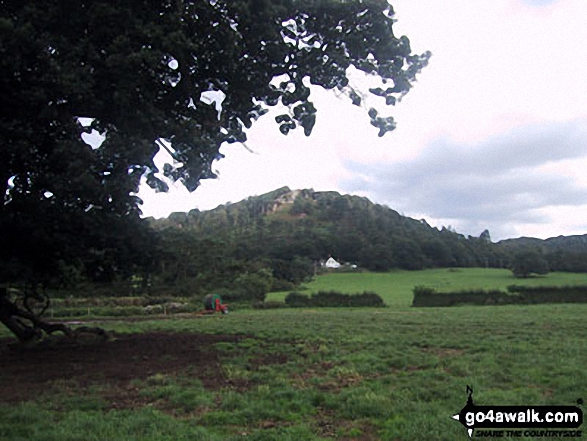 Walk sh133 Clive, Myddle, Webscott and Yorton from Grinshill - The Hill at Grinshill from Clive