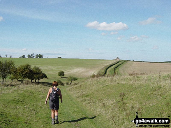 Walk ha111 Cheesefoot Down from Winchester - On The South Downs Way - Gander Down nr Winchester