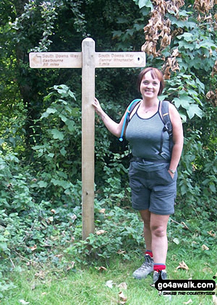 Walk ha111 Cheesefoot Down from Winchester - On The South Downs Way - One mile from the end nr Winchester