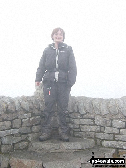 Walk ny101 The Yorkshire Three Peaks from Horton in Ribblesdale - Ingleborough summit shelter during the Yorkshire Three Peaks of Challenge Walk