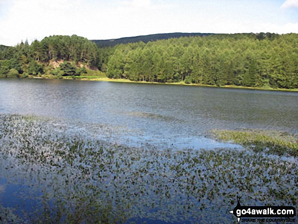 Walk ch223 Tegg's Nose from Langley - Trentabank Reservoir, Macclesfield Forest