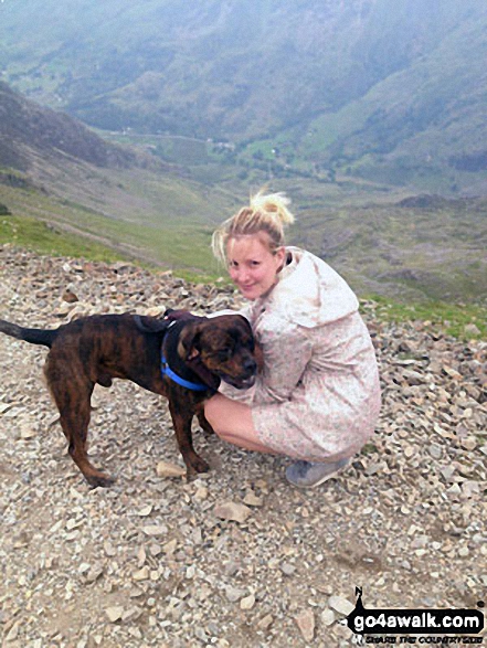 Walk gw118 Moel Cynghorion, Foel Gron and Moel Eilio from Llanberis - Me and my puppy Freddy, on the Llanberis Path near Halfway Station, half way up Snowdon (Yr Wyddfa)