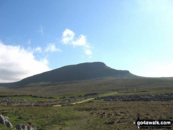 Walk ny158 Pen-y-ghent and Plover Hill from Horton in Ribblesdale - The Yorkshire Three Peaks Challenge - approaching Pen-y-ghent from Brackenbottom