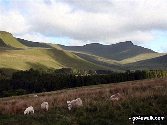 Walk po127 Fan y Big, Cribyn, Pen y Fan and Corn Du from Neuadd Reservoir - Pen y Fan from Neuadd Reservoir