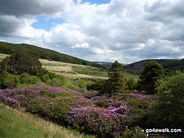 Walk po100 Pen y Fan from Neuadd Reservoir - Neuadd Reservoir from Graig Fan Du