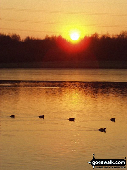 Rother Valley Country Park 