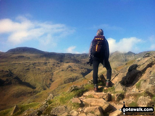 Walk c194 Scafell Pike from The Old Dungeon Ghyll, Great Langdale - On Bow Fell (Bowfell)