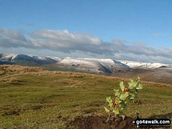 Walk d212 Alport Castles from Fairholmes Car Park, Ladybower Reservoir - Snow on Kinder Scout from Alport Castles