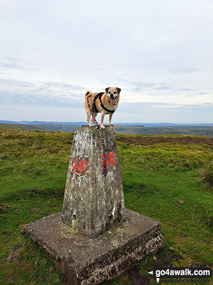 Walk Mynydd Carn-y-cefn walking UK Mountains in The South Wales area  Blaenau Gwent, Wales