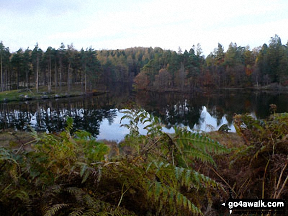 Tarn Hows in November 