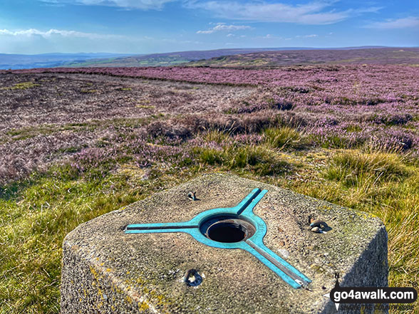 The view from the trig point on Grey Carrs (Eggleston Moor) 