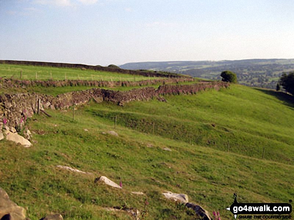 Track leading to Bar Road above Baslow Bar from near Lady Wall Well 