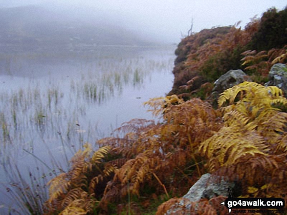 Walk c143 Brund Fell and King's How from Rosthwaite - Dock Tarn