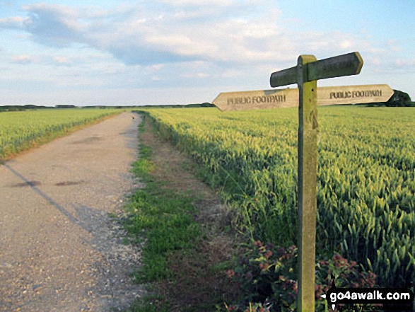 Path Junction near Atherington 