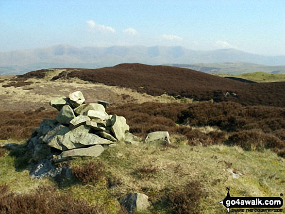 Walk c289 Lambrigg Fell from Wythmoor Farm - Lambrigg Fell summit cairn