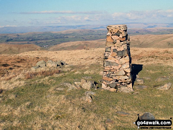 Trig Point on the summit of Grayrigg Forest 