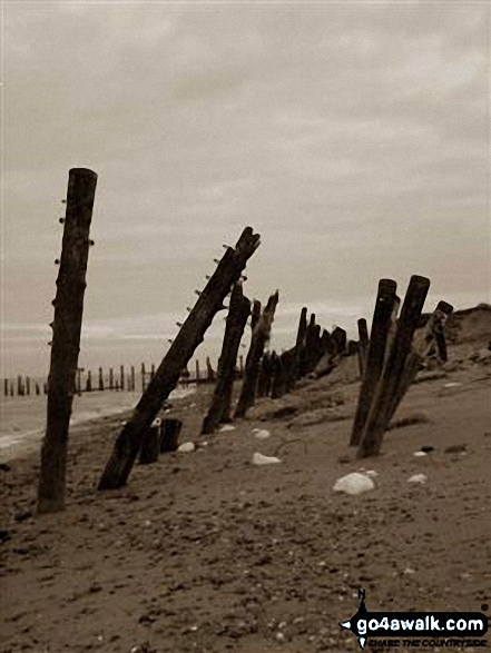 Walk ey119 Spurn Head from Kilnsea - Coastal Defences along Spurn Head