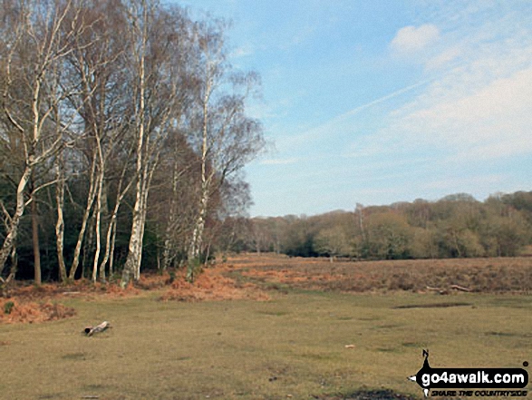 Walk ha109 Lyndhurst Hill and Swan Green from Lyndhurst - Buckhill Hole