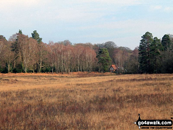 Looking across Bramble Hill 