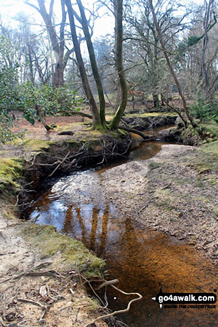 Walk ha109 Lyndhurst Hill and Swan Green from Lyndhurst - Highland Water