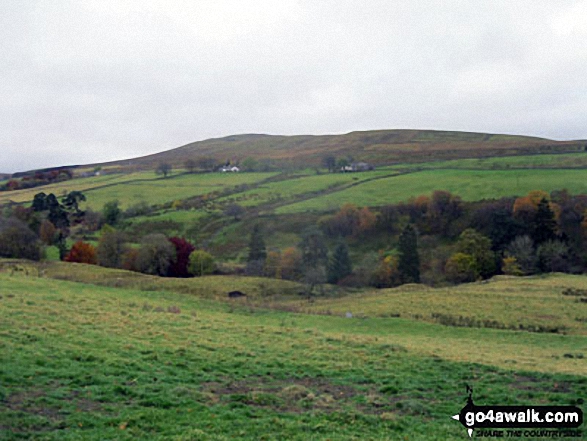 Walk c415 Ashgill Force and Round Hill (Tyne Head) from Garrigill - Round Hill (Tyne Head) from The South Tyne Trail near Hole House Farm