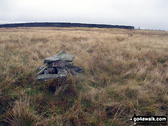 Walk c443 Round Hill and Bellbeaver Rigg from Garrigill - Round Hill (Tyne Head) summit cairn