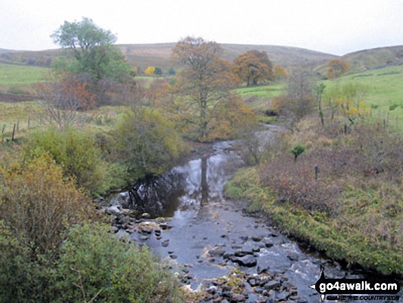 Walk c443 Round Hill and Bellbeaver Rigg from Garrigill - The River South Tyne wearing it's autumn coat from near Hole House Farm