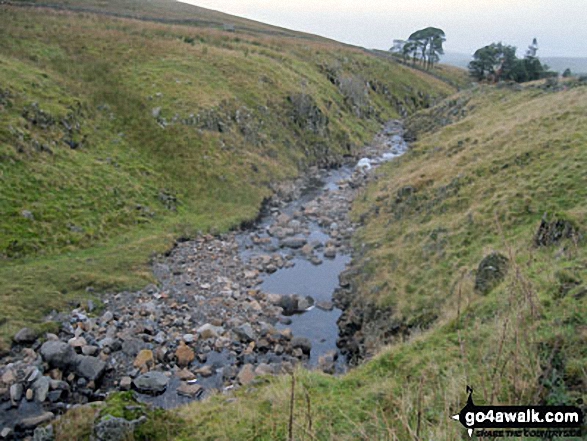 Walk c293 Cross Fell and Great Dun Fell from Garrigill - The River South Tyne above Hole House Farm