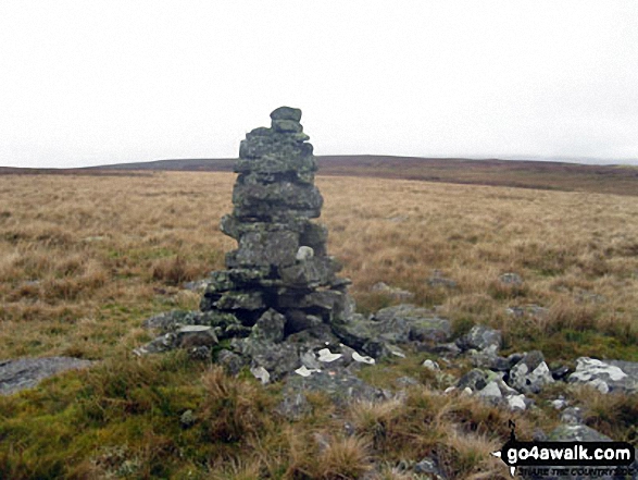 Walk c477 Ashgill Falls and Bellbeaver Rigg from Garrigill - Currick on the lower slopes of Bellbeaver Rigg (Tynehead Fell)