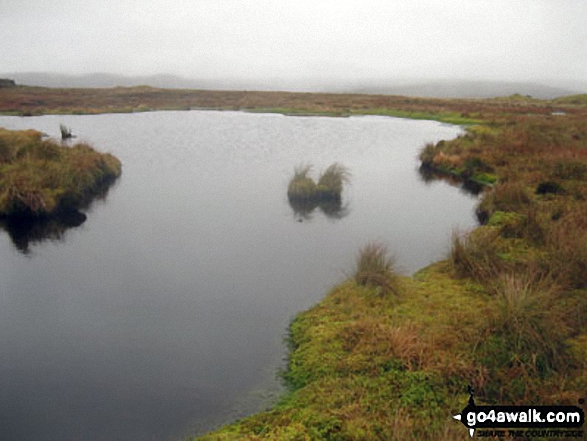 Walk c443 Round Hill and Bellbeaver Rigg from Garrigill - Small Pool on Bellbeaver Rigg (Tynehead Fell)