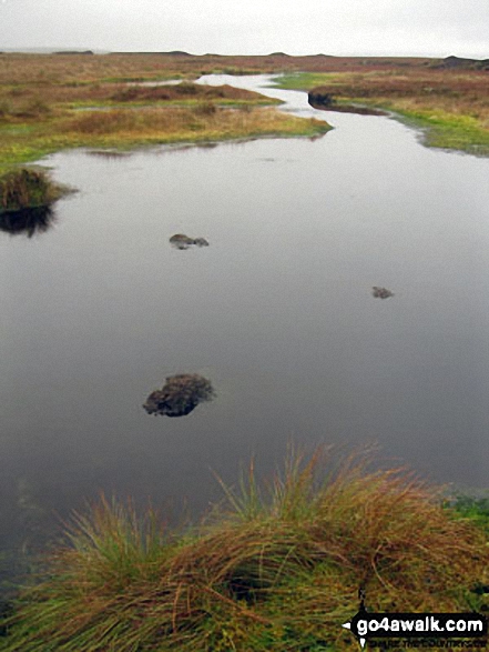 Pool on Bellbeaver Rigg (Tynehead Fell) 