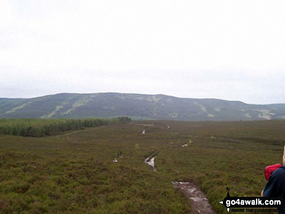 Walk n136 Long Crags from Thrunton Wood - Long Crag from Hard Nab