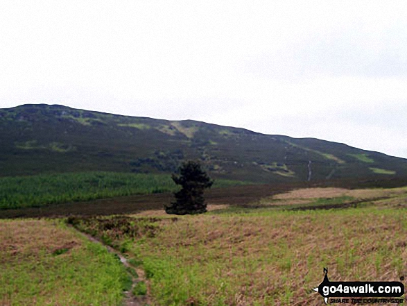 Walk n136 Long Crags from Thrunton Wood - Long Crag from Hard Nab