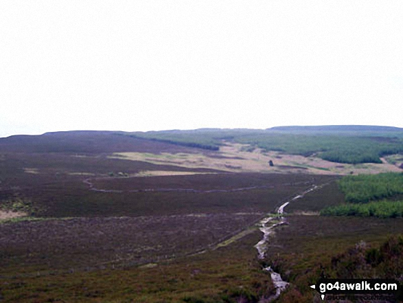 Walk n136 Long Crags from Thrunton Wood - Long Crag from Hard Nab