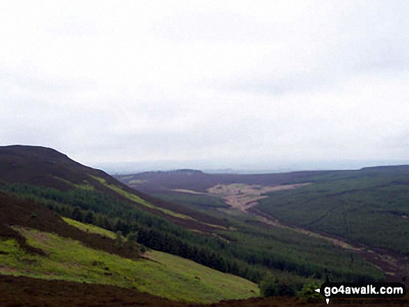 Walk n136 Long Crags from Thrunton Wood - View from Long Crag