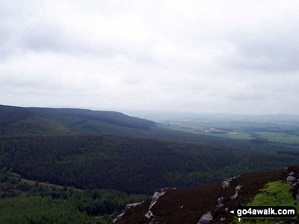 Walk n136 Long Crags from Thrunton Wood - Views from Long Crag