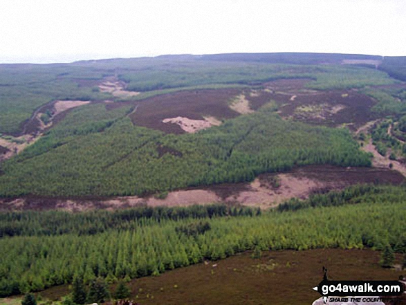 Walk n136 Long Crags from Thrunton Wood - Thrunton Wood from Long Crag