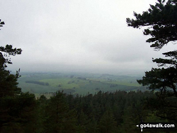 Walk n136 Long Crags from Thrunton Wood - Thrunton Wood