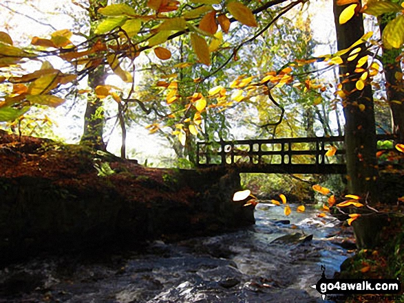 Walk ch226 Shutlingsloe from Wildboarclough - The stream in Wildboarclough in spate