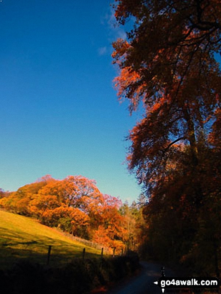 Walk ch226 Shutlingsloe from Wildboarclough - Wildboarclough